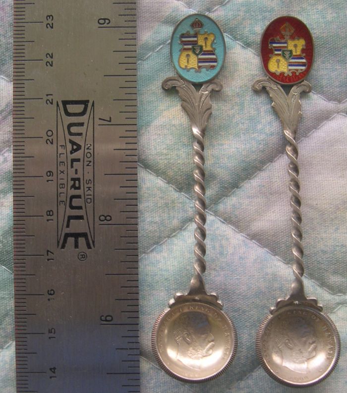hawaii coin spoons