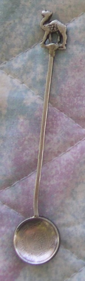 morroco coin spoon camel