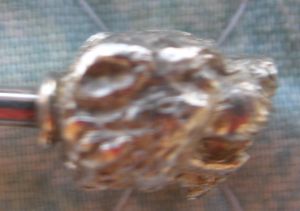 pope clements xii coin spoon bear