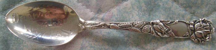 delaware water gap spoon