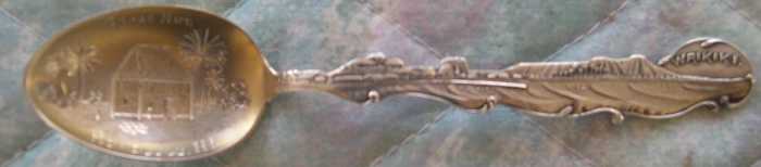 hawaii skyline spoon