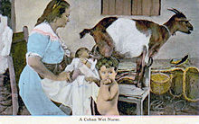 nursing a baby with a goat